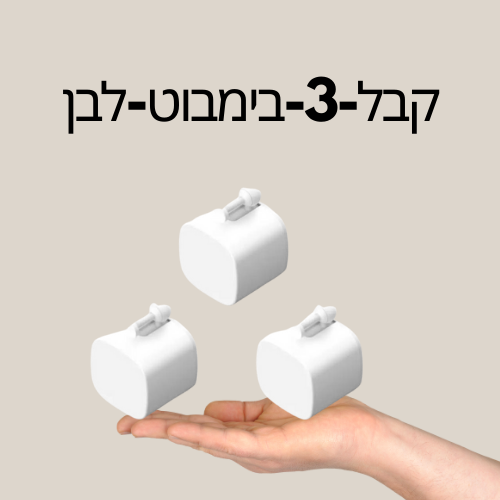 בימבוט חכם